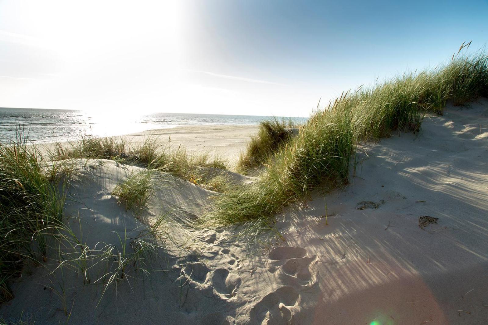 Barmouth Bay Holiday Park Llanddwywe Buitenkant foto